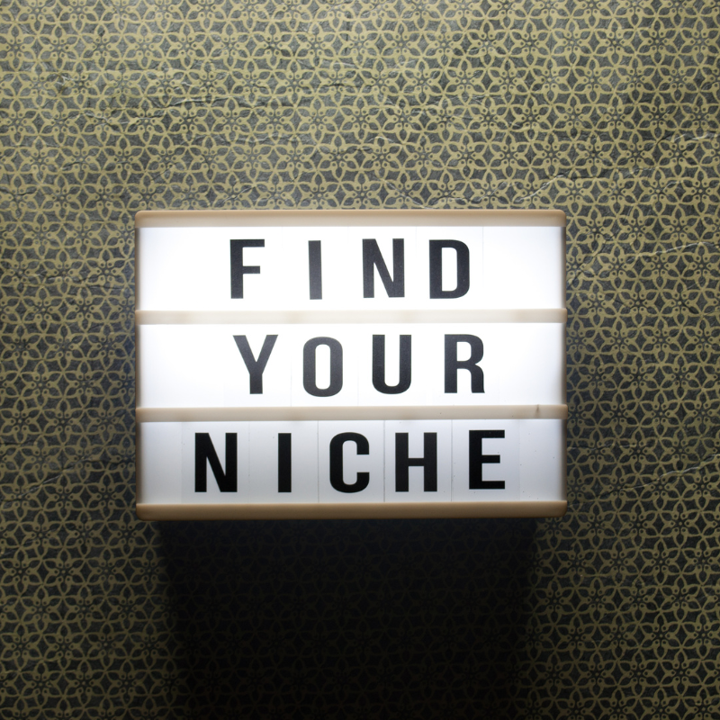find your niche in ecommerce to succeed